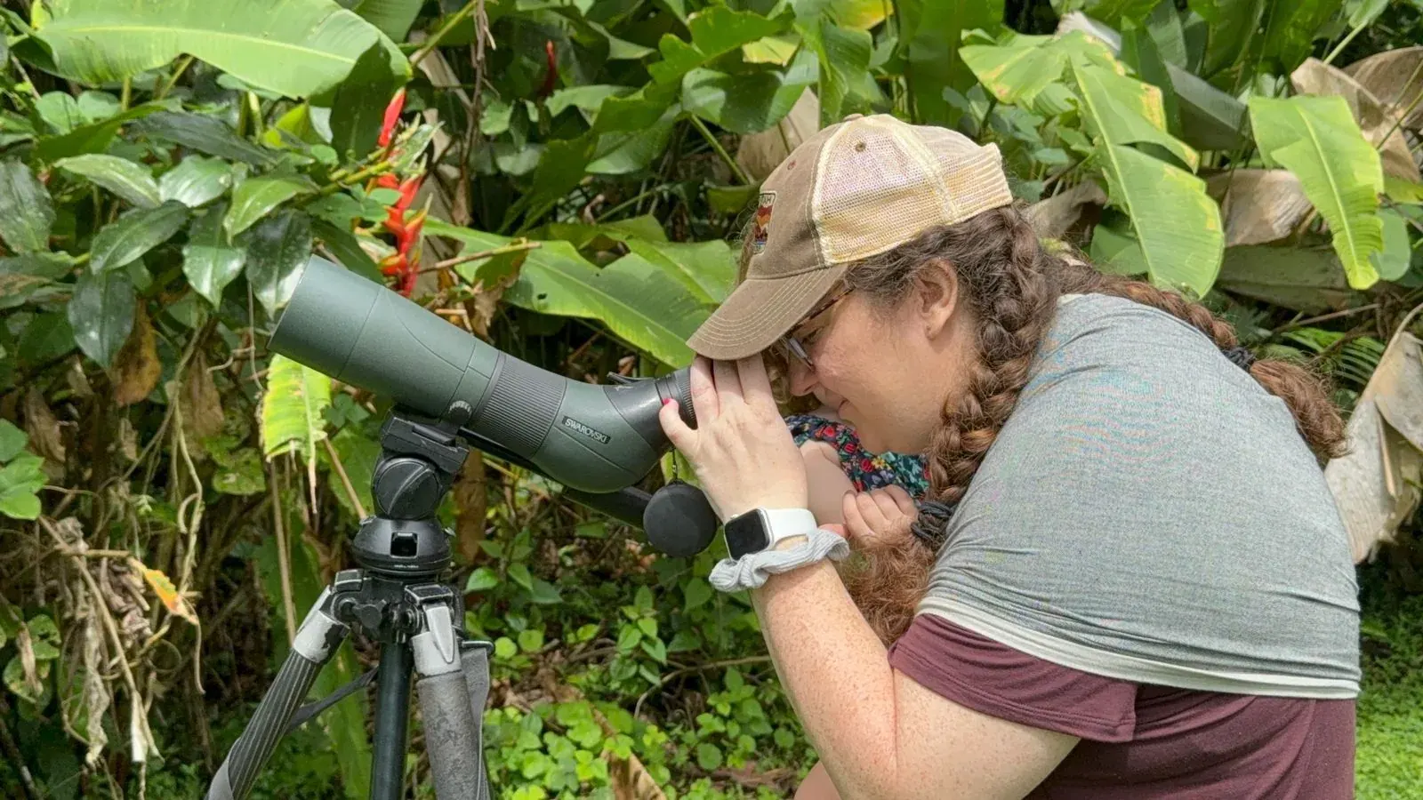 Wildlife of La Fortuna & Arenal: What You'll Really See