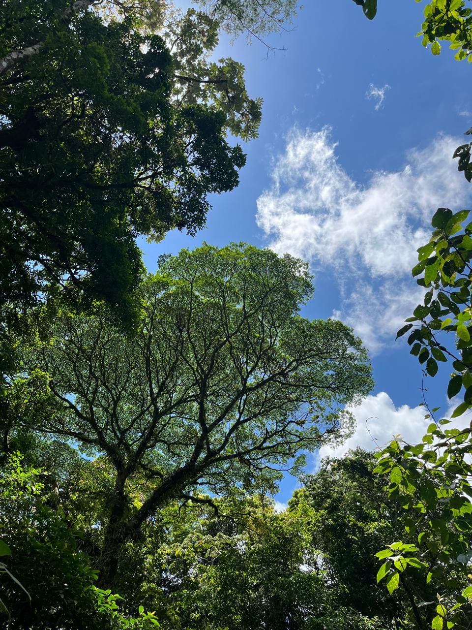 Tipping & Money in Costa Rica: Guides & Drivers